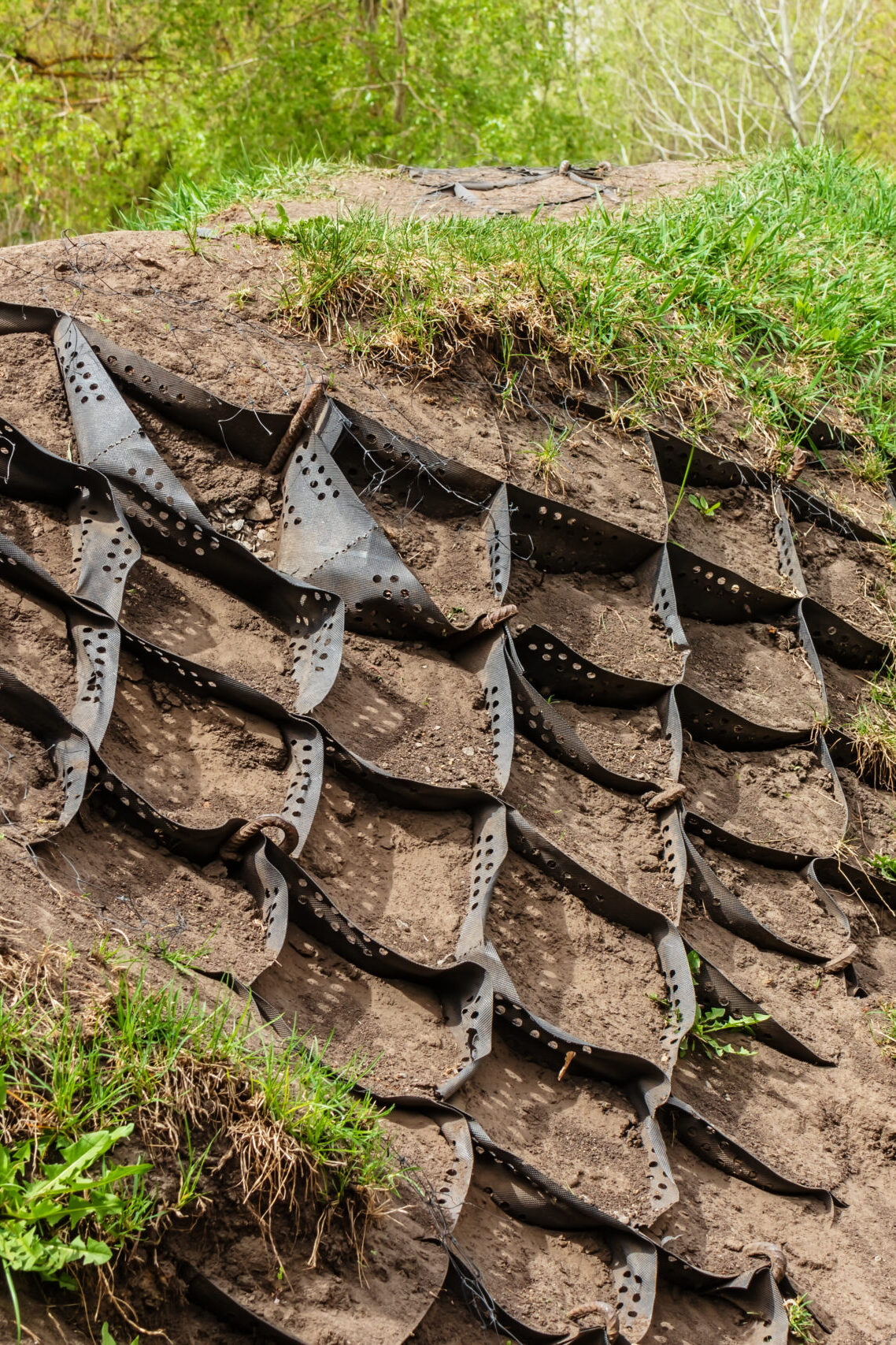 Strengthening the slope soil with volumetric geogrid. Polymer Geogrid Retaining Wall in the garden or park to protect slopes